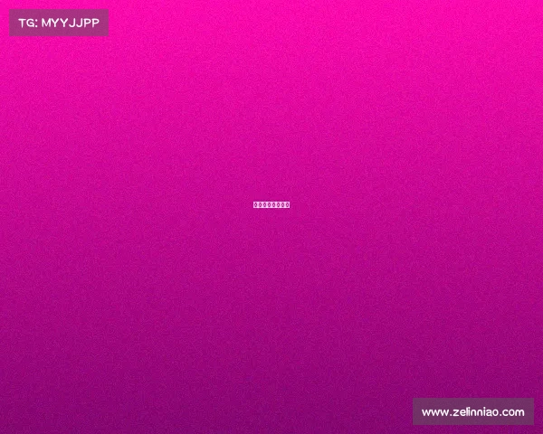 巴西乙级联赛官网